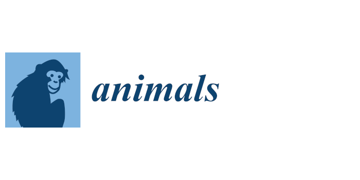 animals_logo