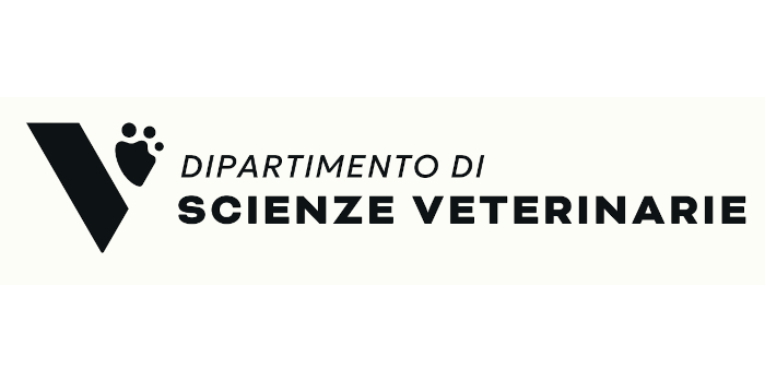 DSV